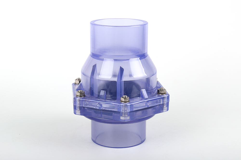 石河镇透明翻板式止回阀